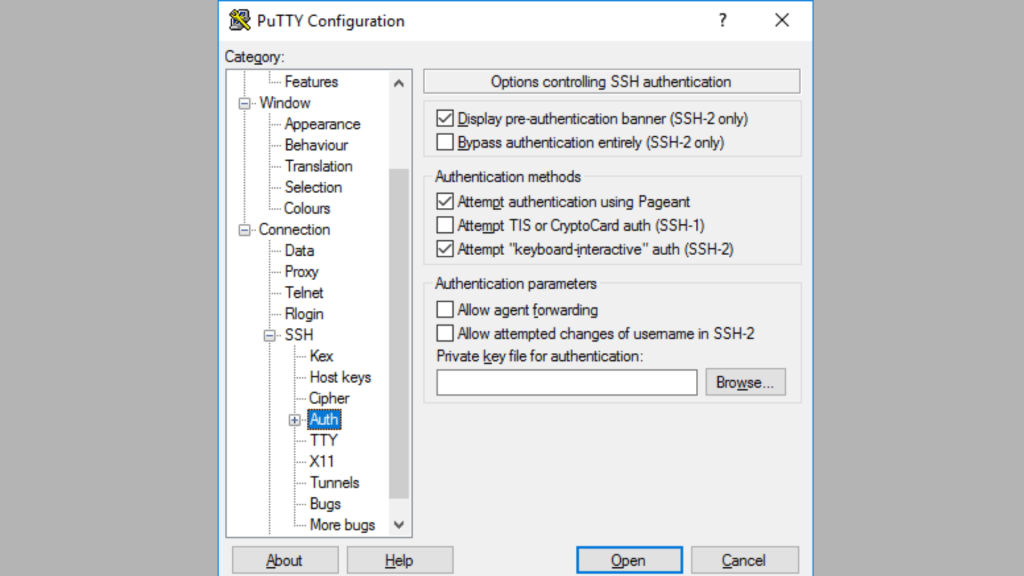 PuTTY system administrator tool user interface