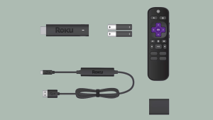 overview of roku