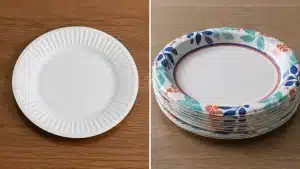 Microwave-safe paper plates comparison showing a plain white uncoated plate and a printed coated plate that may not be microwave safe